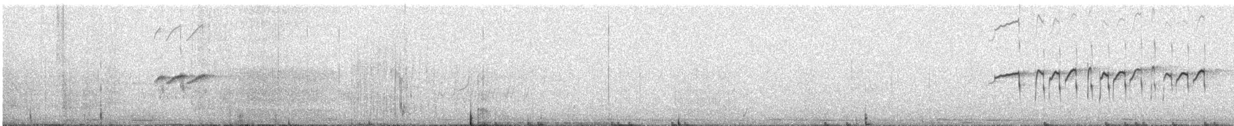 Common Sandpiper - ML637013363