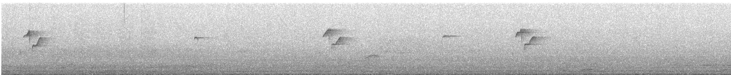 vestempid - ML637016561