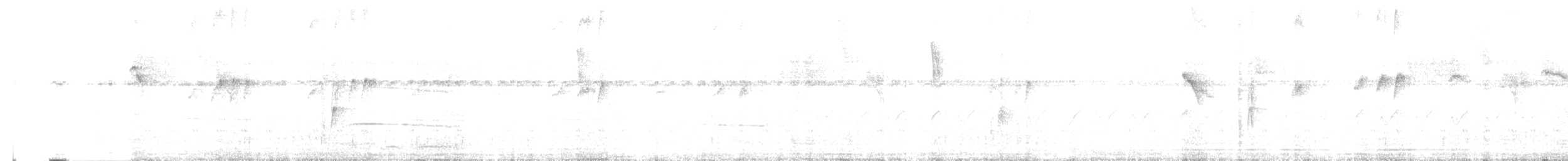 Black-bellied Wren - ML637017450