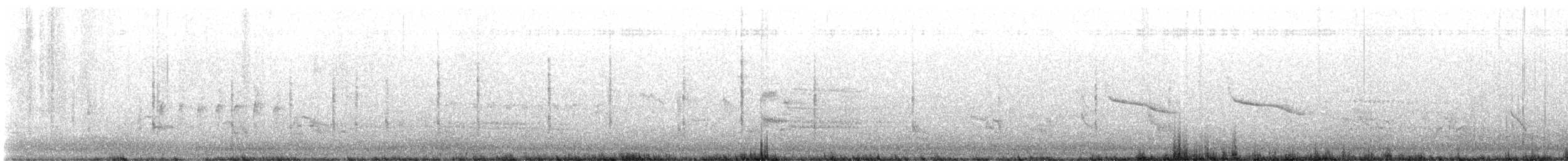 Forster's Tern - ML637017524