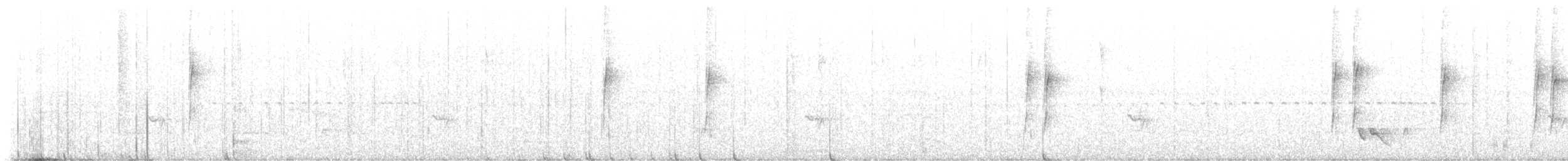 Troglodyte à long bec - ML637018023
