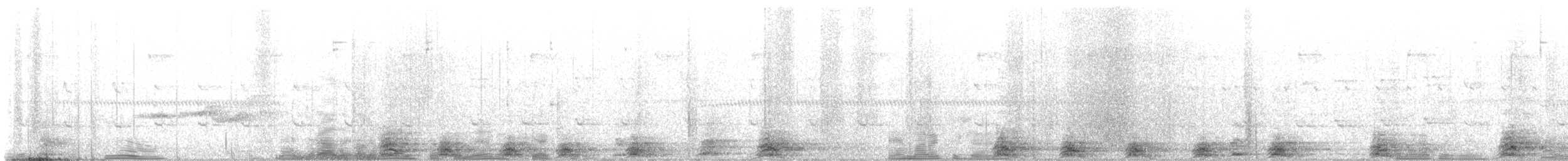 Stripe-backed Antbird - ML637018027