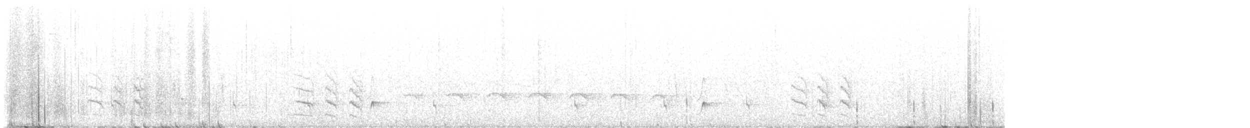 Black-bellied Antwren - ML637018102