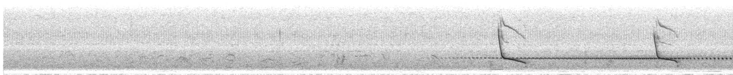 Spotted Nothura - ML637018407