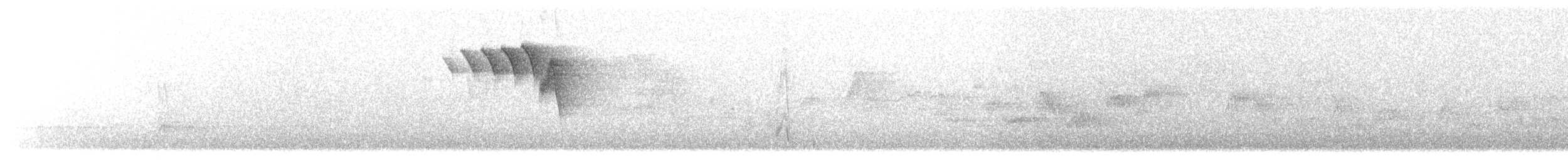 American Redstart - ML637019157