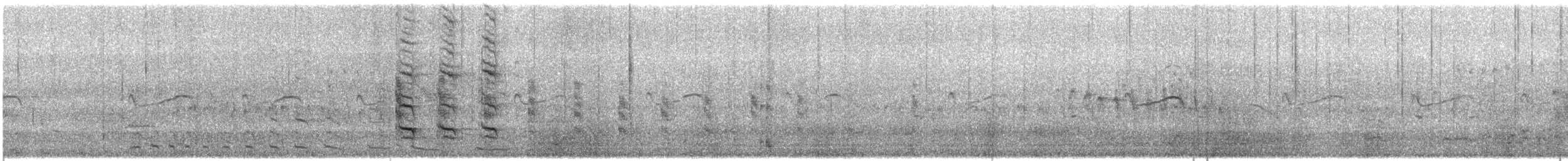 Лодкохвостый гракл - ML637019554