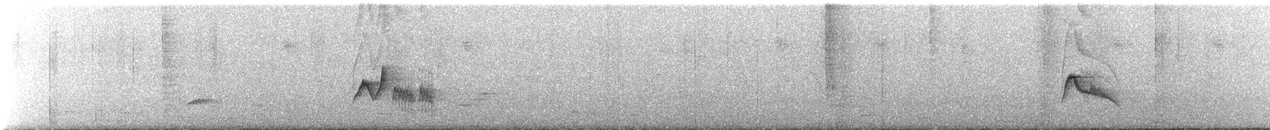 Caribbean Elaenia - ML637020869