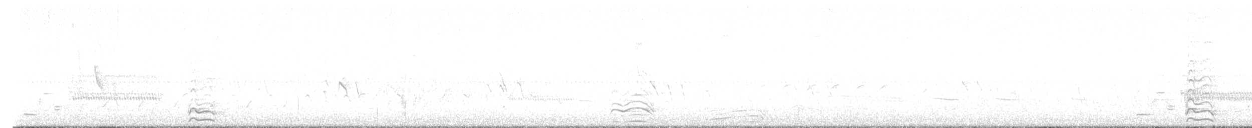 Antxeta mokogorri amerikarra - ML637021655