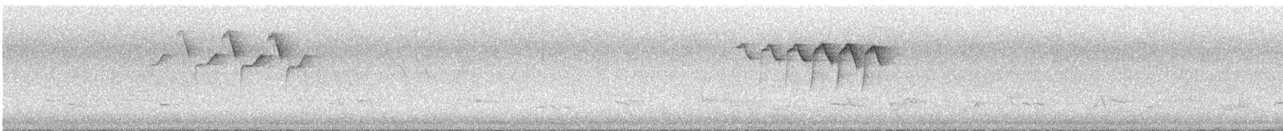 Black-and-white Warbler - ML637023435