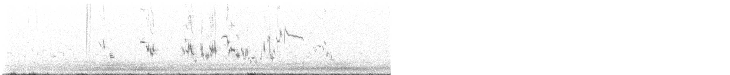 Plectrophane à ventre gris - ML637024393