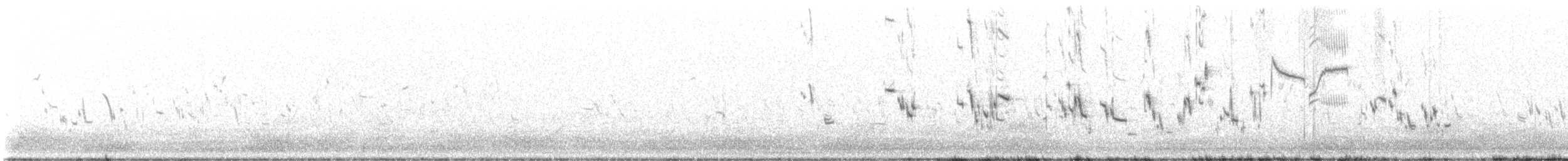 Plectrophane à ventre gris - ML637024396