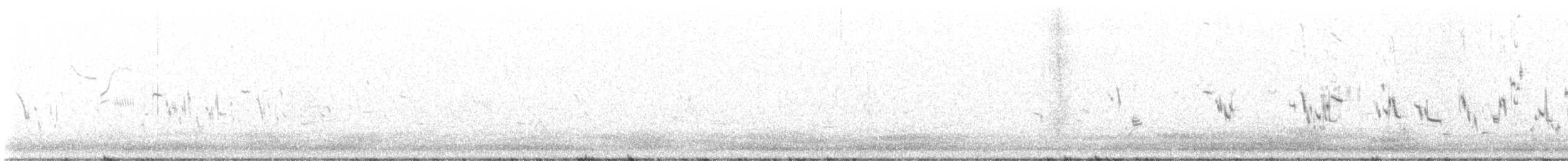 Plectrophane à ventre gris - ML637024397