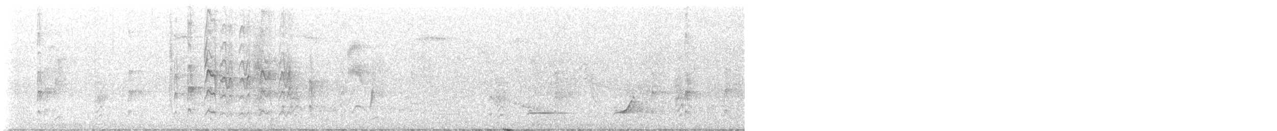 Northern Bobwhite - ML637024580