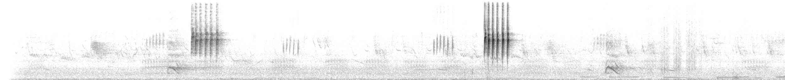 Blue-fronted Redstart - ML637027040