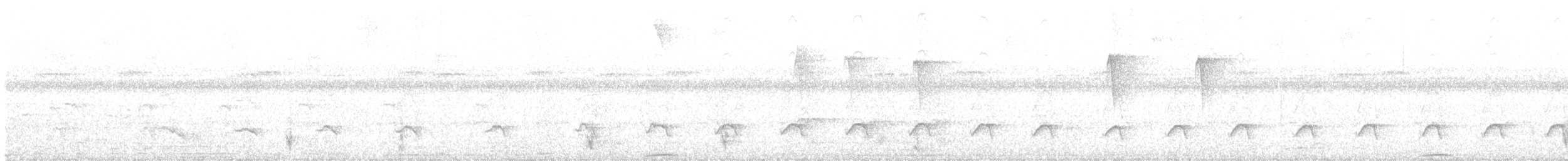 Gray-cheeked Nunlet - ML637027134