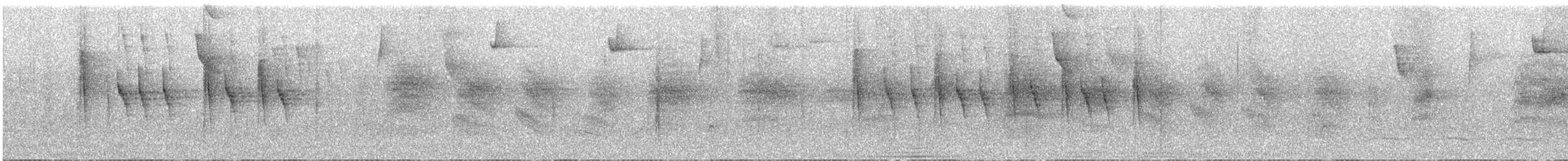 Streak-capped Antwren - ML637027187