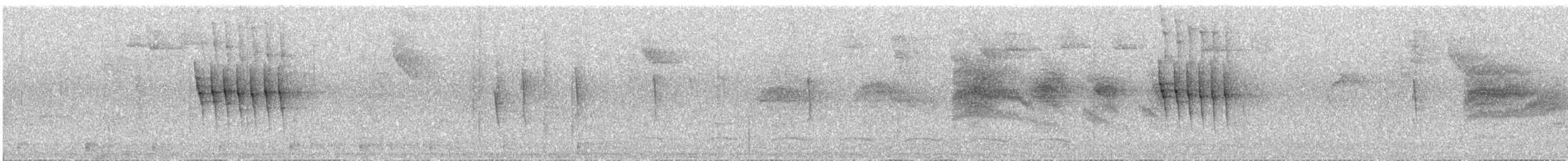 Streak-capped Antwren - ML637027188