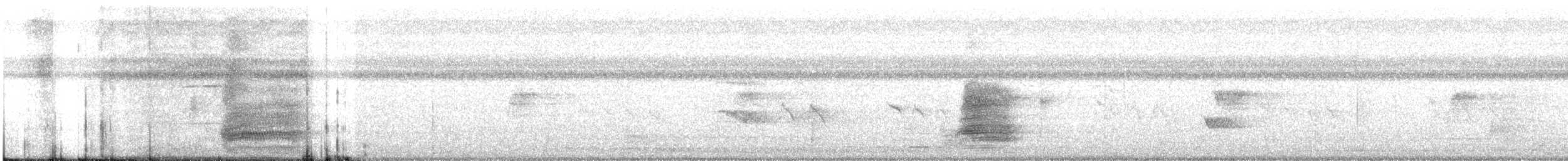Papuan Eclectus - ML637028046