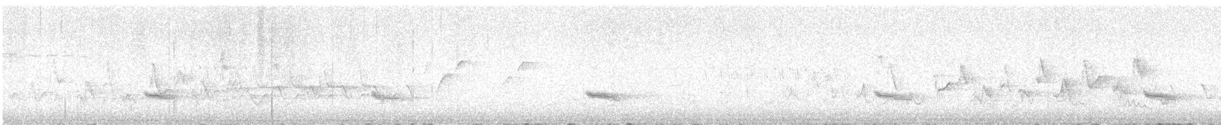 Musendrossel, unbestimmt - ML637029417
