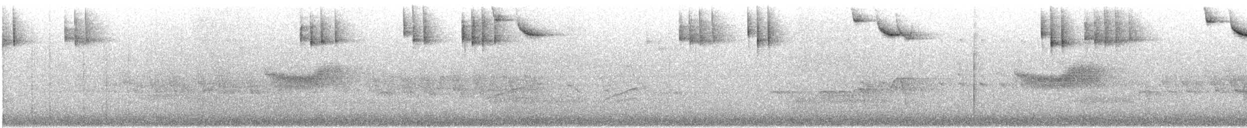 Bruant gris - ML637030219