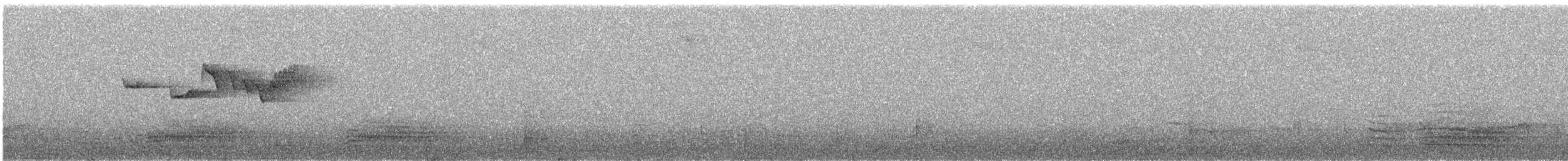 タンシキバシリ - ML637030765