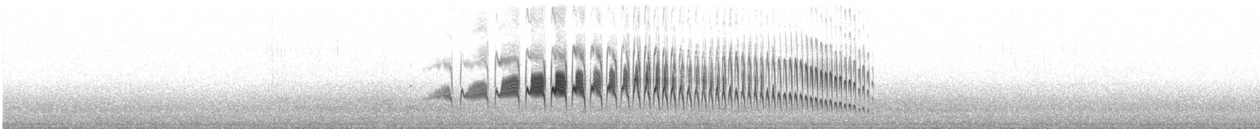 Many-striped Canastero - ML637036092