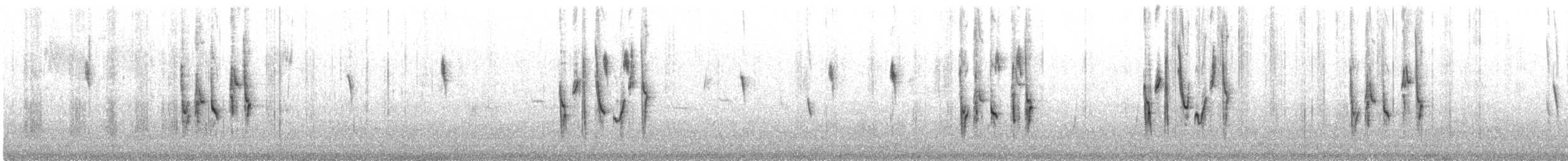Giant Conebill - ML637036208