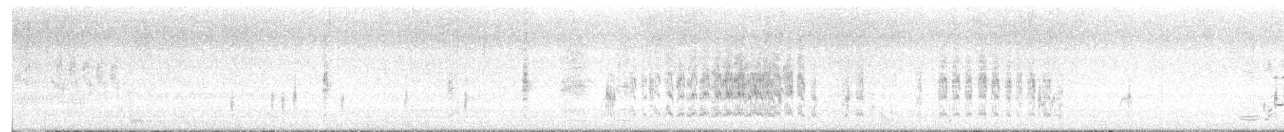 Semipalmated Sandpiper - ML637036664