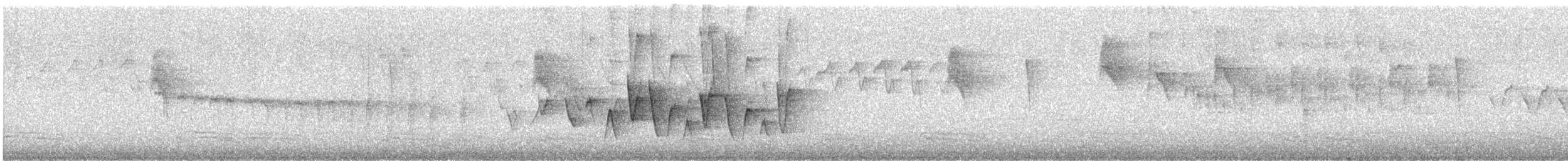 Connecticut Warbler - ML637036776