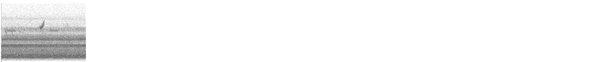 new world warbler sp. - ML637038630