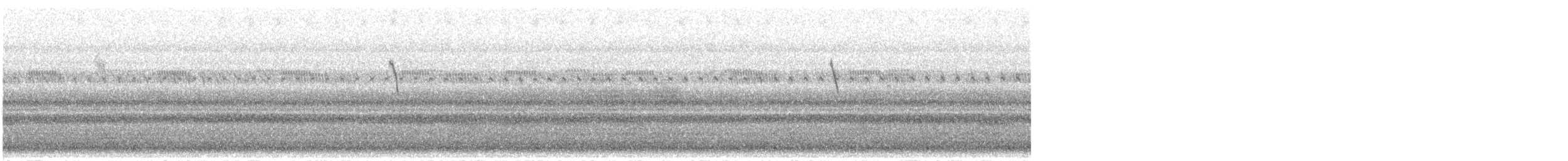 Northern Parula - ML637038654