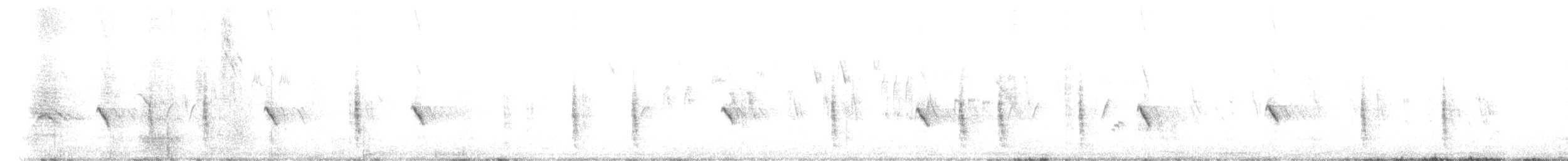 bělořit plavý - ML637038729
