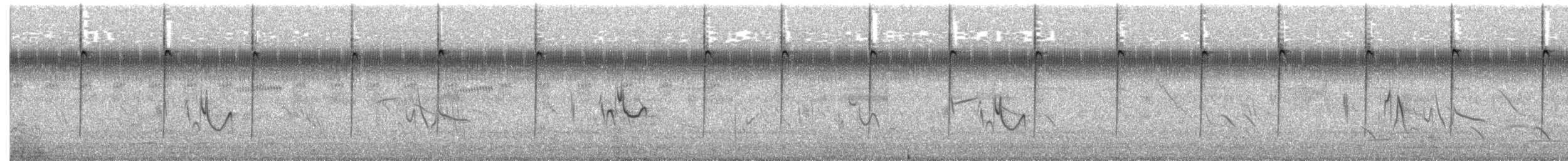 White-tailed Goldenthroat - ML637042299