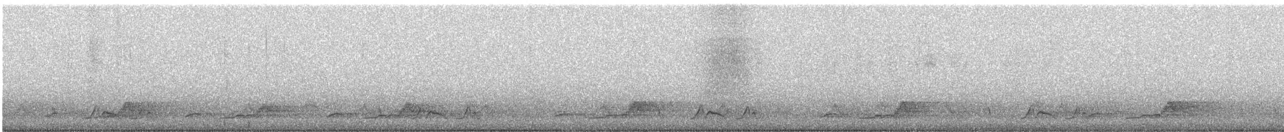 Chuck-will's-widow - ML637042603