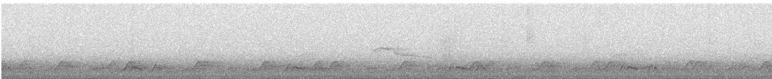 Chuck-will's-widow - ML637042604