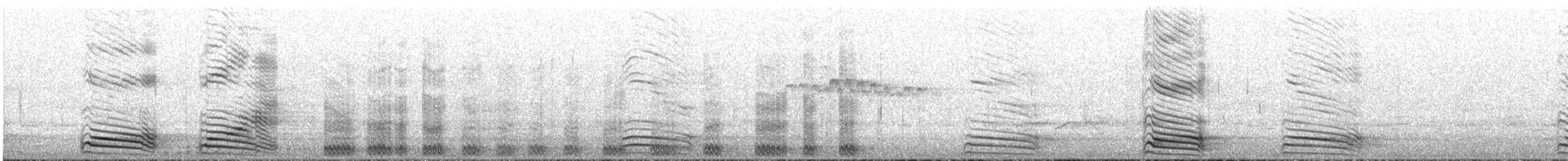 Gray Go-away-bird - ML637042965