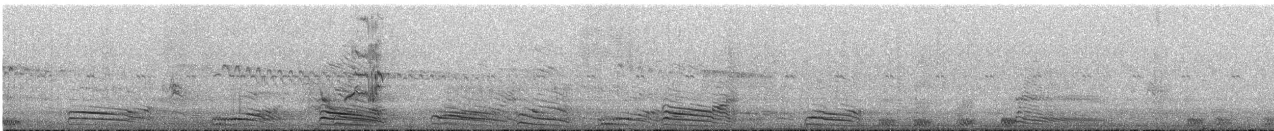 Gray Go-away-bird - ML637043002