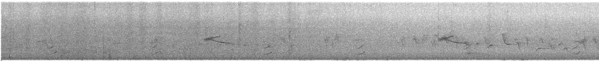 Phainopepla - ML637044322