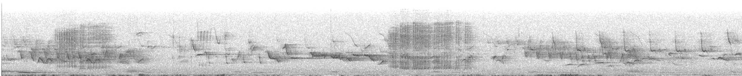 Grive draine - ML637044363
