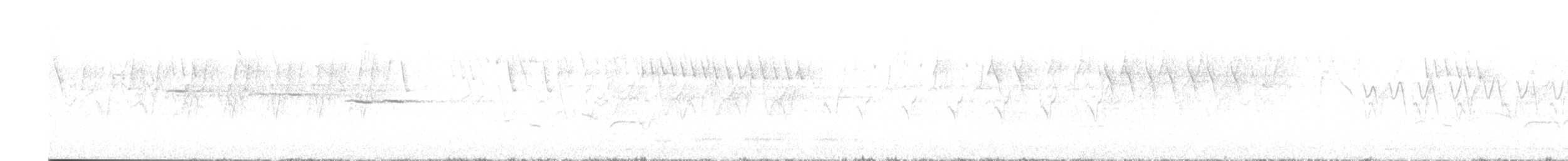 Large-billed Leaf Warbler - ML637047425
