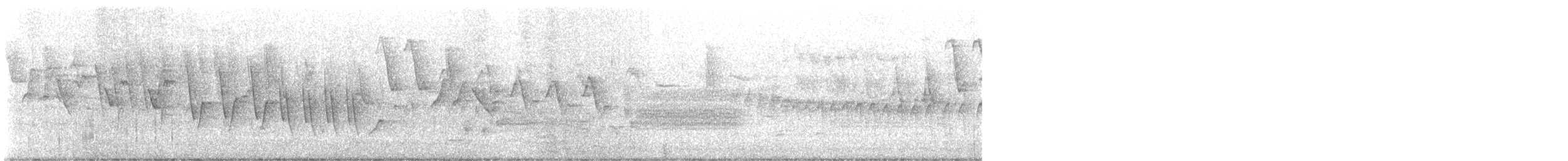 Northern Waterthrush - ML637047476