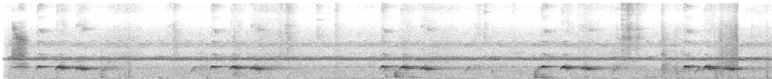 Red-chested Cuckoo - ML637047567