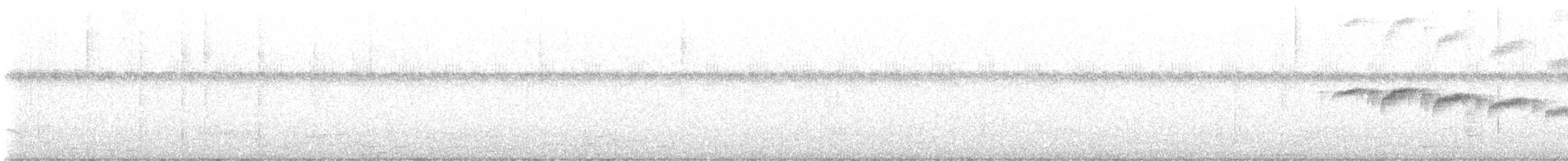 Squamate Antbird - ML637048213