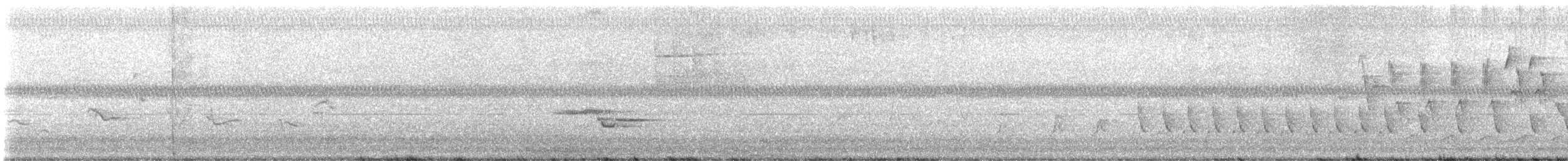 Wood Thrush - ML637048588