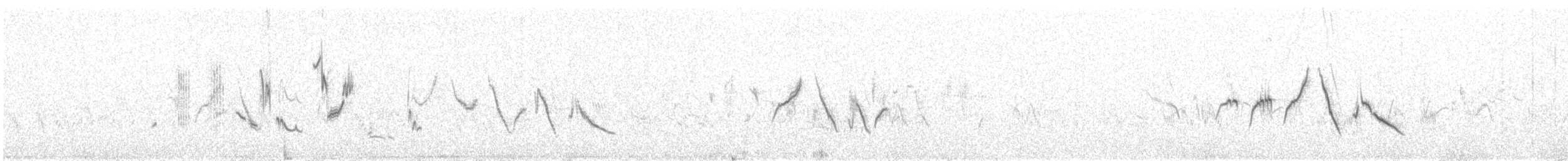 Pitxartxar nabarra - ML637048845