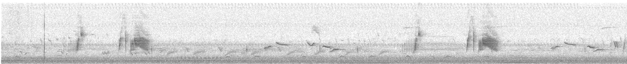 Willow Flycatcher - ML637051777