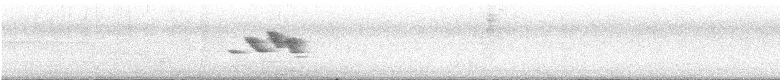 Sporophile à col double - ML637052566