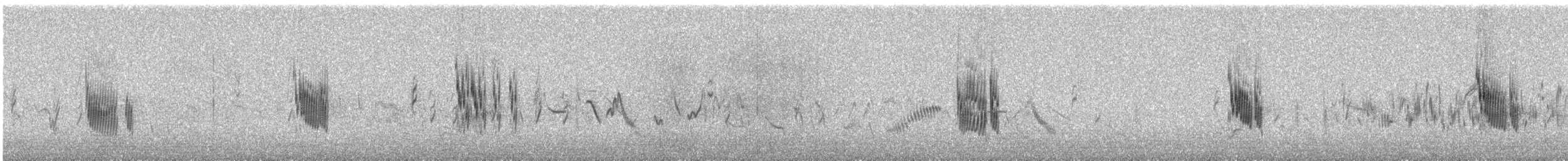 Mediterranean Short-toed Lark - ML637053631