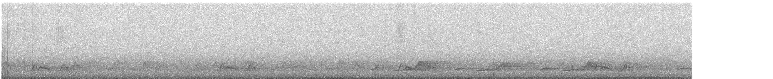 Chuck-will's-widow - ML637053943