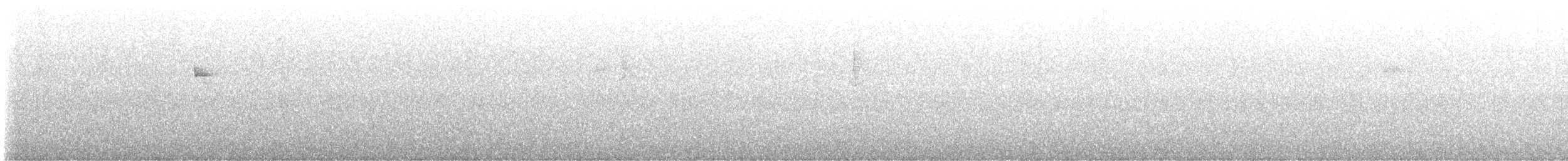 Western Flycatcher - ML637056943